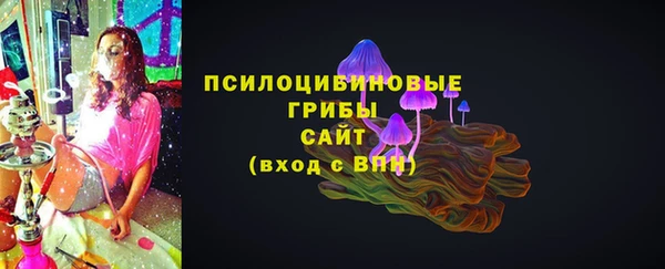 шишки Алзамай