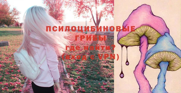 2c-b Алексеевка