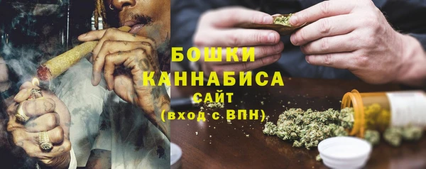 шишки Алзамай