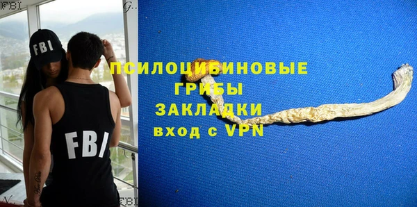 шишки Алзамай