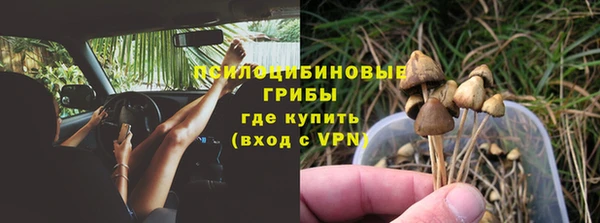 не бодяженный Алексин