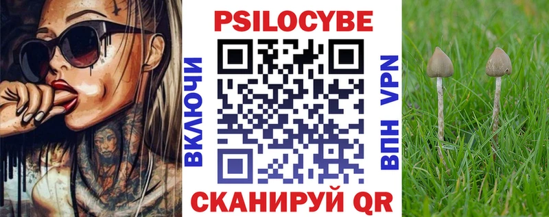 купить закладку  Кореновск  Псилоцибиновые грибы мицелий 
